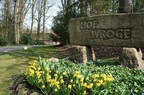 Ferienhof Wroge Wietzendorf Kültér fotó
